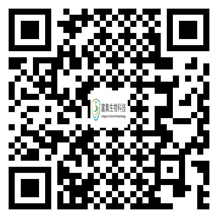 手機端瀏覽網(wǎng)站